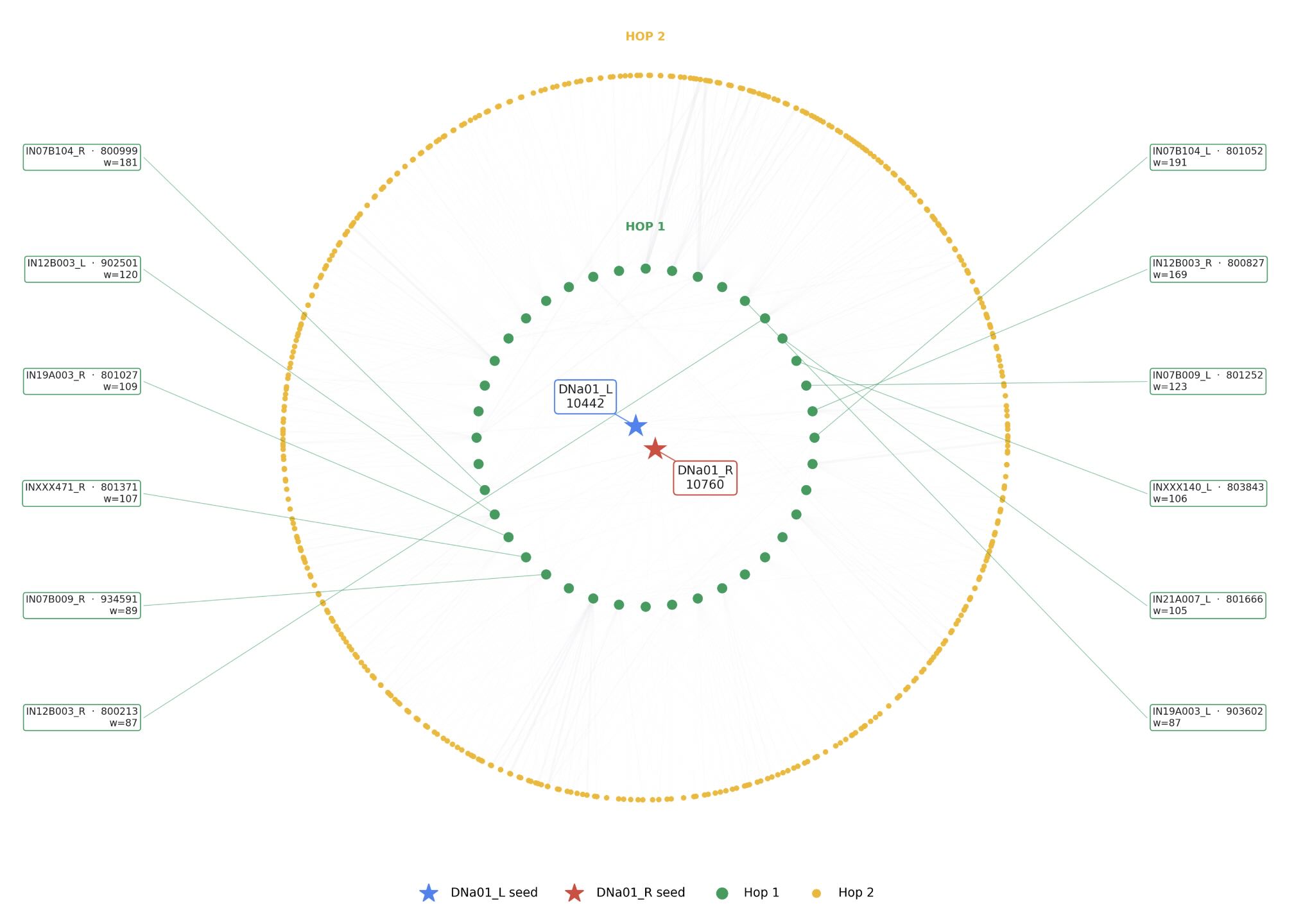 Network diagram with the bilateral DNa01 neurons at the centre, surrounded by first- and second-hop neurons